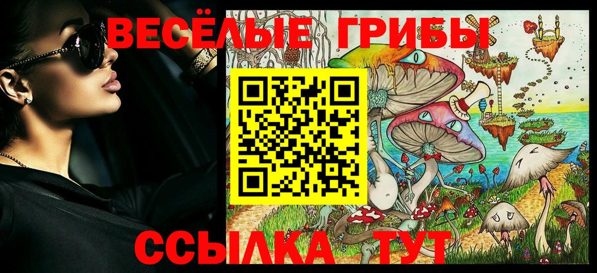 Галлюциногенные грибы MAGIC MUSHROOMS Новоалтайск