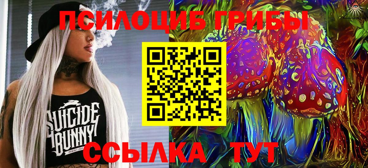 Новоалтайск  Галлюциногенные грибы MAGIC MUSHROOMS  Вход с VPN 
